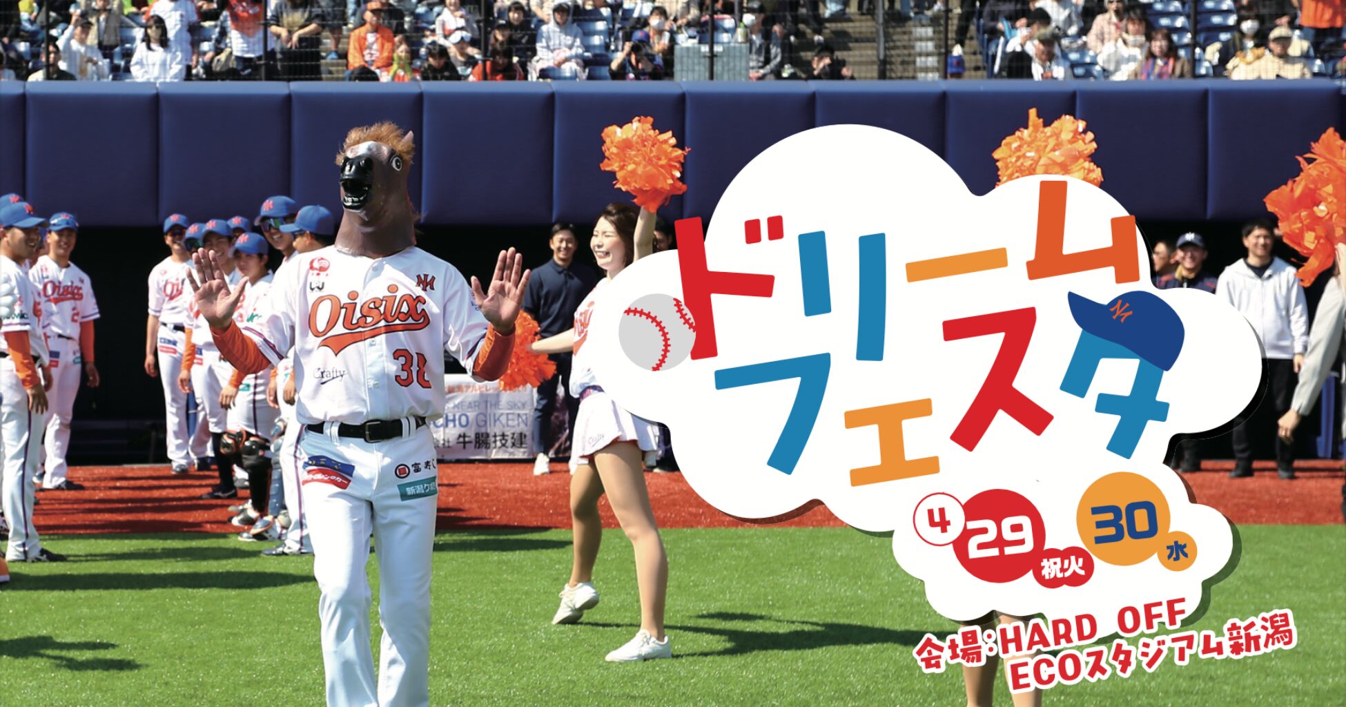 4月29・30日GWシリーズ開催「新潟のGWを野球で笑顔に