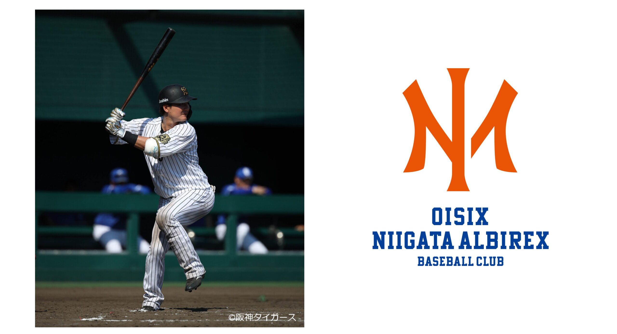渡邉 諒選手 契約合意のお知らせ | ニュース | オイシックス新潟