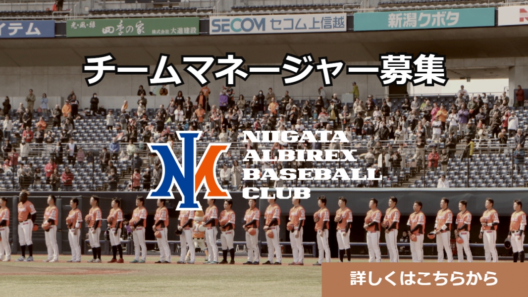 新潟アルビレックス ベースボール クラブ